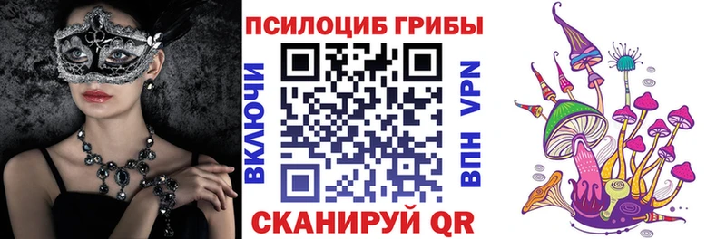 купить наркоту  Касли  Псилоцибиновые грибы Psilocybe 